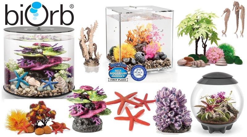 biOrb Aquariums and Accessories image