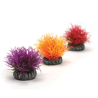 biOrb Accessories
