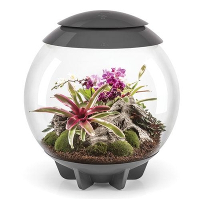 Image Terrariums