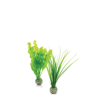 Image biOrb Easy Plant Set Small Green