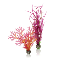 Image biOrb Plant Pack Red/Pink