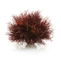 Image biOrb Sea Lily Crimson