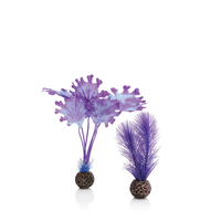 Image biOrb Kelp Plant Pack Purple