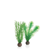 Image biOrb Green Feather Fern Plant Pack