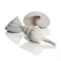 Image biOrb Sea Shells