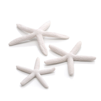 Image White biOrb Starfish Set