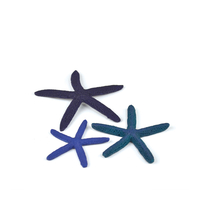 Image Blue biOrb Starfish Set