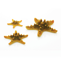 Image Yellow biOrb Starfish Set