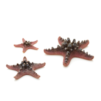 Image Pink biOrb Starfish Set