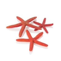 Image biOrb Starfish Set 3 red 48356