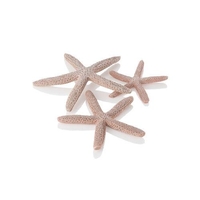 Image biOrb Starfish Set 3 natural 48357