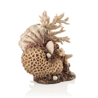 Image biOrb Coral-Shells Sculpture natural 48360