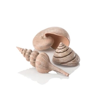Image biOrb Sea Shell Set 3 natural